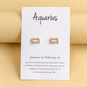 *JULANE* Gold Aquarius Fashion Horoscope Earrings
